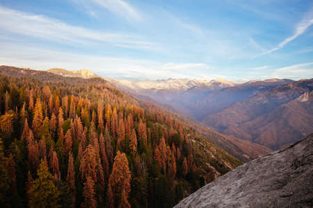 Sequoia National Park in California USAの写真素材