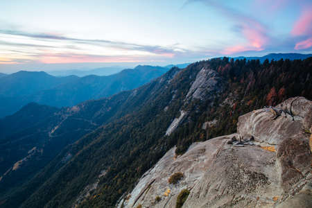 Sequoia National Park in California USAの写真素材