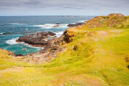 The Nobbies Landscape at Philip Island