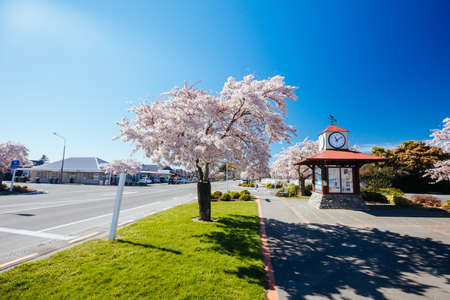Town of Darfield in New Zealandのeditorial素材