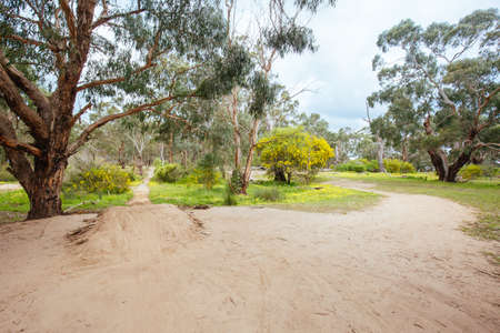 Plenty Gorge Parklands in Australiaの写真素材