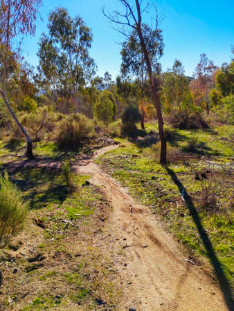 Mt Alexander in Harcourt in Australia