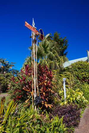 Millaa Millaa in the Atherton Tablelands in Australiaのeditorial素材