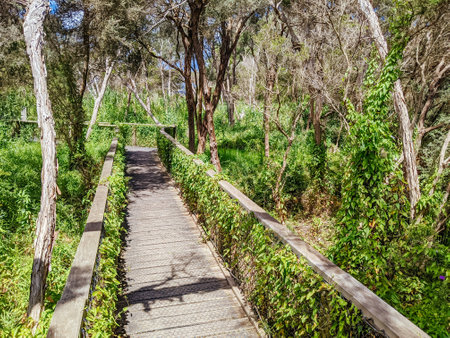 Boneo Discovery Park Australiaのeditorial素材
