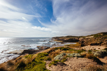 Pearses Beach in Blairgowrie Australiaの写真素材