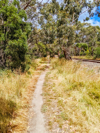 Mornington Rail Trail Australiaの写真素材