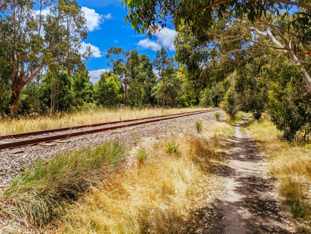 Mornington Rail Trail Australiaの写真素材