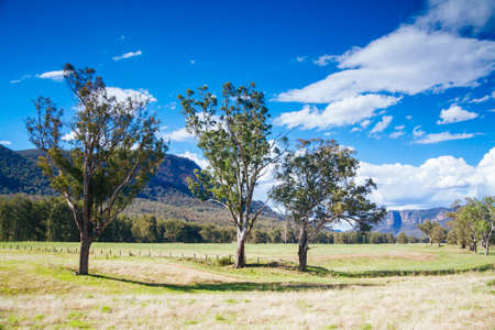 Hunter Valley Landscape in Australia