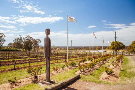 Brokenwood Winery in Australiaのeditorial素材