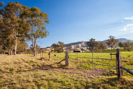 Hunter Valley Landscape in Australiaの写真素材