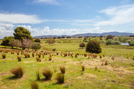 Lancefield Rural Landscape in Australiaの写真素材