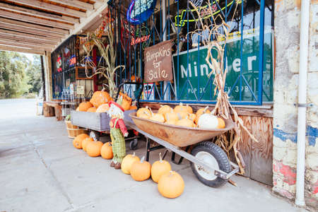 Store in Minkler USAのeditorial素材
