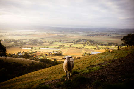 View over Yarra Glen in Australiaの写真素材