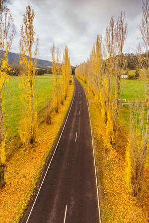 Gould Memorial Drive in Marysville in Australiaの写真素材