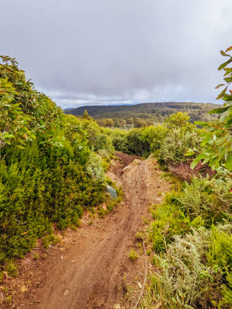 Lake Mountain Bike Park in Australiaの写真素材