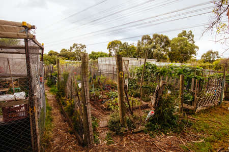 CERES Community Space in Melbourne Australiaのeditorial素材