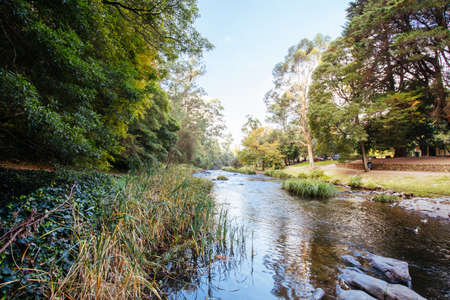 Yarra River View in Warburton Australia