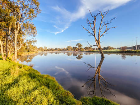 Foggy Melbourne Morining in Australiaの写真素材
