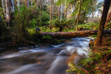 Cement Creek River Flowing in Australia