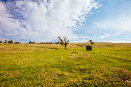 Lilydale to Warburton Rail Trail Landscape in Australia