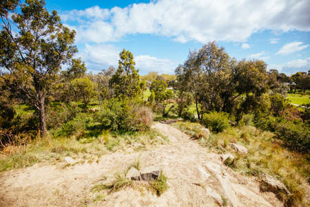 Darebin Parklands in Melbourne Australiaの写真素材