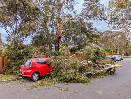 Springtime Storms and Damge in Melbourne Australiaの写真素材