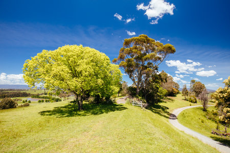 Mount Lofty Circuit Walk in Melbourne Australiaの写真素材