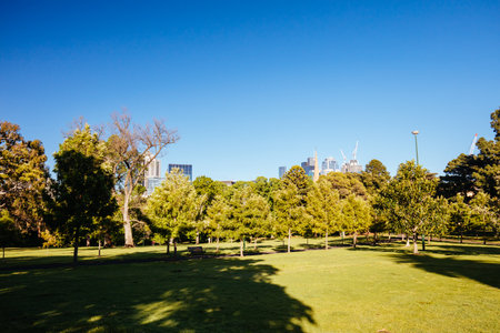 Fitzroy Gardens in Melbourne Australiaの写真素材