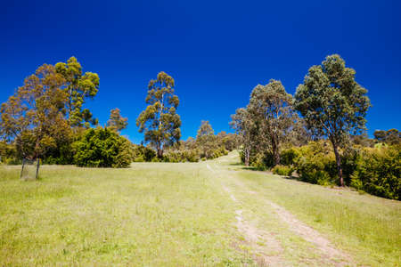 Mount Lofty Circuit Walk in Melbourne Australiaの写真素材