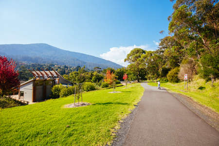 Lilydale to Warburton Rail Trail in Australiaの写真素材