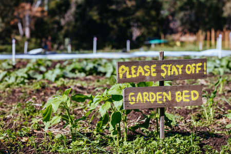 Urban Garden Plot in Australia
