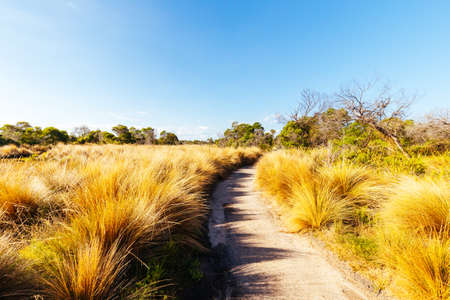 Edwards Point Wildlife Reserve in Australiaの写真素材