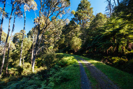 OShannassy Aqueduct Trail near Warburton in Victoria Australia