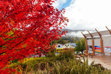 Autumn Foliage in Warburton Victoria Australiaのeditorial素材