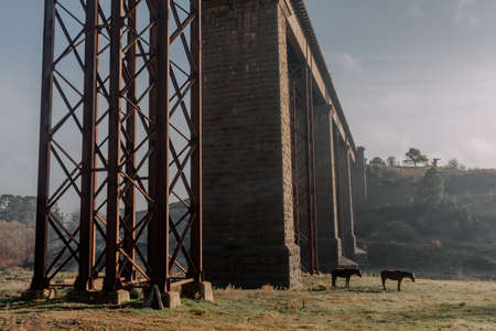 Taradale Railway Viaduct in Victoria Australia