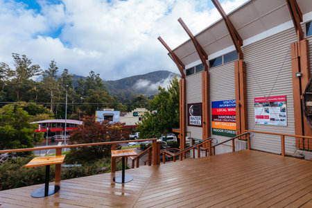 Autumn Foliage in Warburton Victoria Australiaのeditorial素材