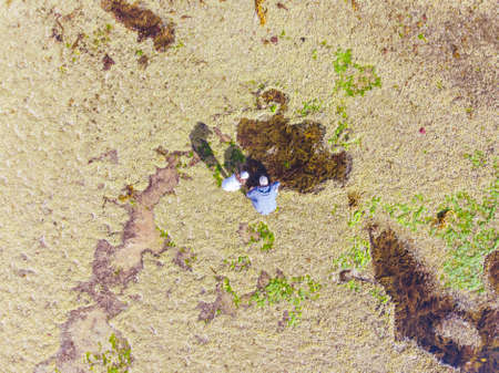 Pearses Beach Aerial in Australiaの写真素材