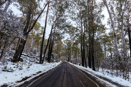 Marlborough Hwy in Central Highlands Tasmania Australiaの写真素材