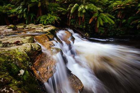 Halls Falls in Pyengana Tasmania Australia