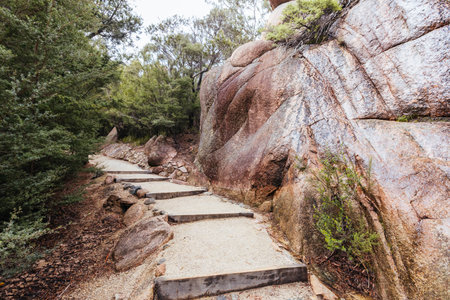 Freycinet Peninsula Circuit in Tasmania Australiaの写真素材