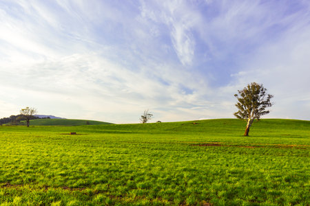Landscape near Derby in Tasmania Australiaの写真素材