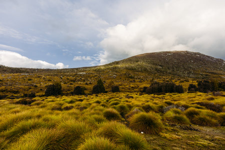 Stormy Cradle Mountain in Tasmania Australiaの写真素材