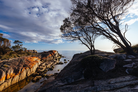 Binalong Bay Beach in Tasmania Australiaの写真素材