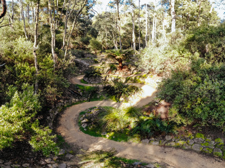 Blue Derby Bike Network Tasmania Australiaの写真素材