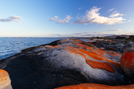 The Gardens Beach in Tasmania Australiaの写真素材