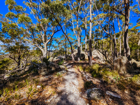 Bay of Fires Trail in Tasmania Australiaの写真素材