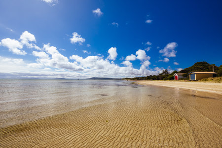 Tyrone Foreshore Reserve in Melbourne Australiaの写真素材