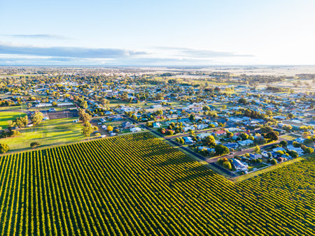Coonawarra Landscape near Penola in Australiaの写真素材