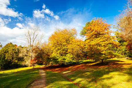 Maroondah Reservoir Park in Australiaの写真素材