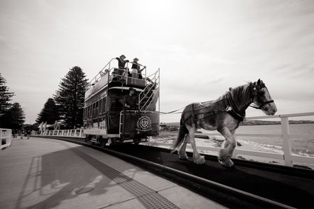 Victor Harbor Horse Drawn Tramway in Australiaのeditorial素材